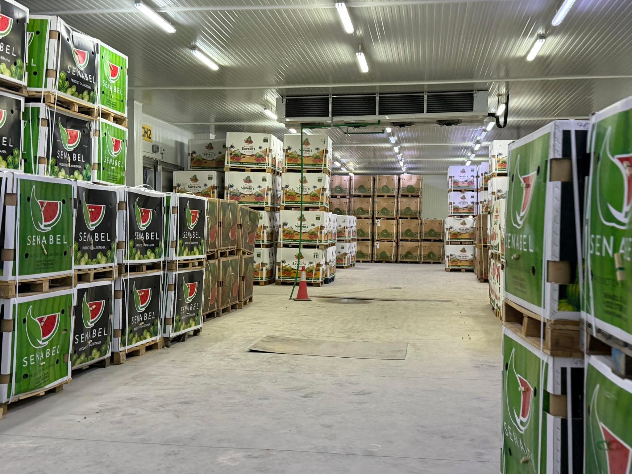 تصدير أول شحنة من البطيخ الموريتاني عبر ميناء الصداقة في نواكشوط